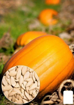 На развес Тыква "Дамский ноготь" Agro-Market цена за 10г (22324)
