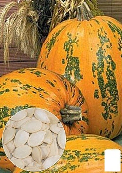 На развес Тыква "Украинка" Agro-Market цена за 10г (22338)