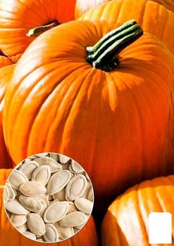 На развес Тыква "Ранняя сахарная" Agro-Market цена за 10г (49361)