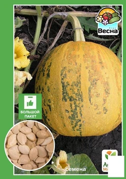 Тыква "Голосеменная" (Большой пакет) Agro-Market 4г (32826)