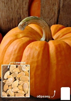 На развес Тыква "Осенний богатырь" Agro-Market цена за 10г (49352)