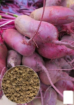 На вагу Буряк "Циліндра" Agro-Market ціна за 10г (13342)