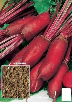 На развес Свекла "Генеральская" Agro-Market цена за 10г (49437)