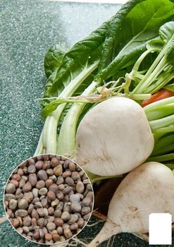На развес Редька дайкон "Круглый Саша" Agro-Market цена за 10г (32146)