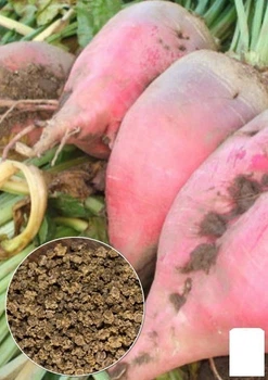 На развес Свекла кормовая "Киевская розовая" Agro-Market цена за 15г (22259)