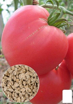 На развес Томат "Бычье сердце розовое" Agro-Market цена за 1г (13314)