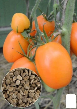 На вагу Томат "Де-Барао помаранчевий" Agro-Market ціна за 1г (26467)
