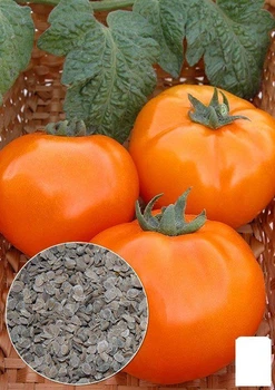 На вагу Томат "Хурма" Agro-Market ціна за 1г (22350)