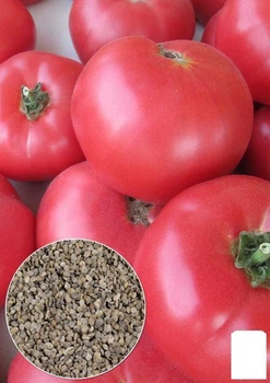 На развес Томат "Розовый плоский" Agro-Marketцена за 1г (32268)