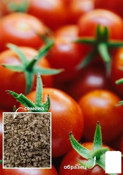На развес Томат "Красная карамель" Agro-Market цена за 1г (49397)
