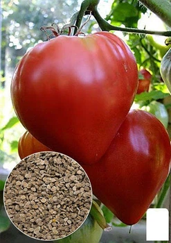 На вагу Томат "Бичаче серце червоне" Agro-Market ціна за 1г (22162)