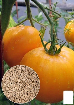 На вагу Томат "Медовий спас" Agro-Market ціна за 1г (22182)