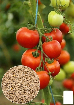 На вагу Томат "Колгоспний" Agro-Market ціна за 2г (19601)