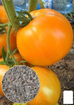 На развес Томат "Апельсин" Agro-Market цена за 1г (13308)