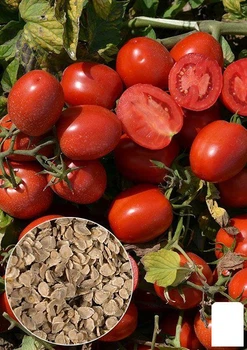 На развес Томат "Амулет" Agro-Market цена за 1г (22156)
