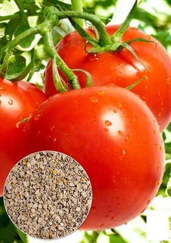 На развес Томат "Донецкий" Agro-Market цена за 2г (22146)