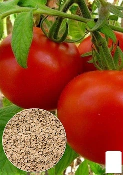 На вагу Томат "Загадка" Agro-Market ціна за 2г (22157)