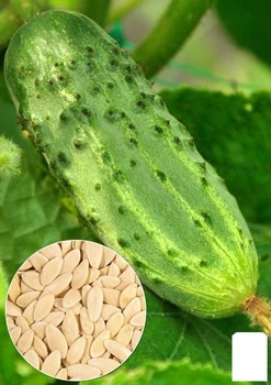 На развес Огурец "Кустовой" Agro-Market цена за 2г (13323)