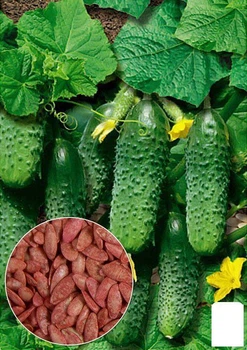 На развес Огурец "Лазурит" Agro-Market цена за 1г (35742)