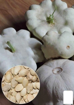 На развес Патиссон "Белоснежка" Agro-Market цена за 5г (32272)