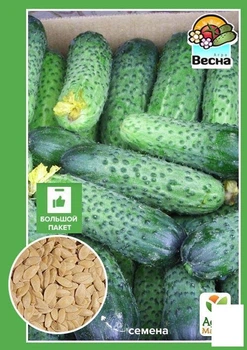 Насіння Огірок "Бригадний" (Великий пакет) ТМ "Agro-Market" 1,5 г (32538)