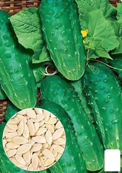 На развес Огурец "Водограй" Agro-Market цена за 2г (22121)