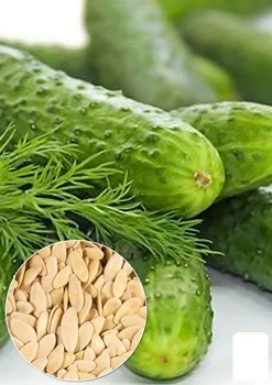 На вагу Огірок "Біляївський" Agro-Market ціна за 5г (13328)