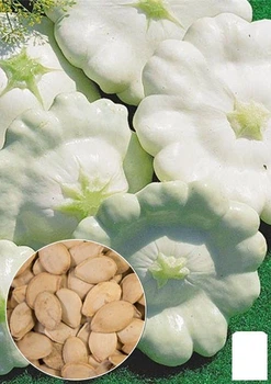 На развес Патиссон "Зонтик" Agro-Market цена за 5г (22292)