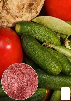 На развес Огурец "Малосольный F1" Agro-Market цена за 3г (22143)