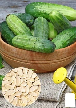 На развес Огурец "Веселые мотыльки" Agro-Market цена за 1г (26464)