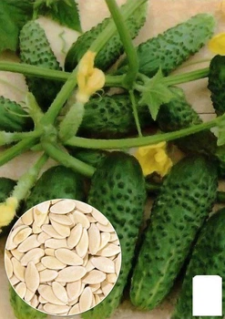 На развес Огурец "Примус" Agro-Market цена за 2г (22124)