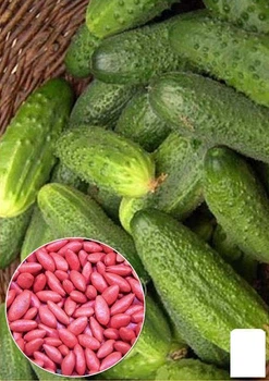 Насіння Огірок "Метеор F1" ТМ "Agro-Market" ціна за 3г (21619)