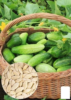 На развес Огурец "Журавленок F1" Agro-Market цена за 2г (22128)