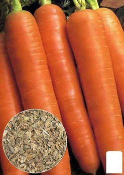 На развес Морковь "Королева осени" Agro-Market цена за 10г (22202)