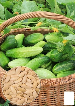 На развес Огурец "Сремский" Agro-Market цена за 4г (32175)