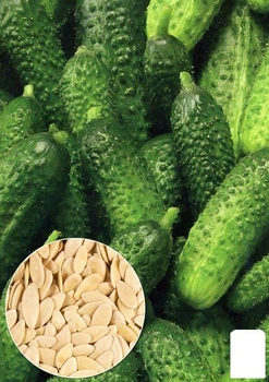 На развес Огурец "Парижский корнишон" Agro-Market цена за 5г (13329)
