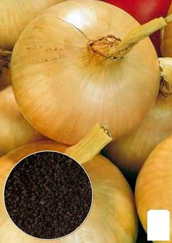 На развес Лук "Золотничок" Agro-Market цена за 5г (49570)