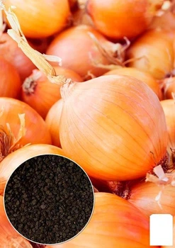 На развес Лук "Касатик" Agro-Market цена за 5г (49576)