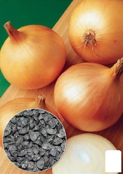 На развес Лук "За один сезон" Agro-Market цена за 5г (22101)