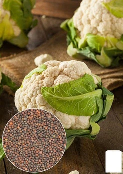 На развес Капуста цветная "Снежный гигант" Agro-Market цена за 1,5г (35708)