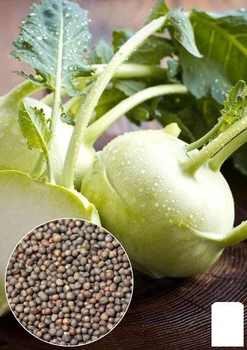 На развес Капуста "Кольраби белая" Agro-Market цена за 2г (32265)
