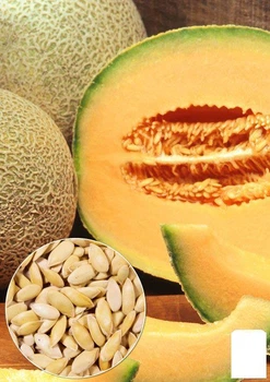 На развес Дыня "Ананас" Agro-Market цена за 5г (35704)