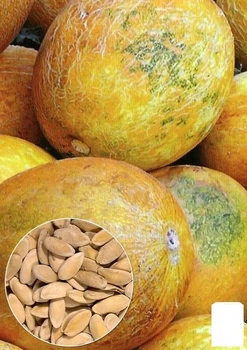 На развес Дыня "Сладкоежка" Agro-Market цена за 6г (22397)