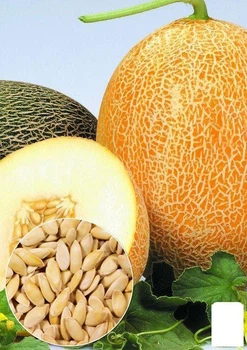 На развес Дыня "Карамель" Agro-Market цена за 6г (35705)