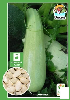 Кабачок "Ленуца F1" (Большой пакет) Agro-Market 3г (32643)