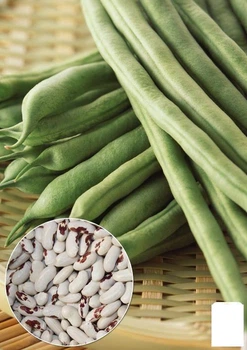 На развес Фасоль "Солдатик" Agro-Market цена за 15г (32254)