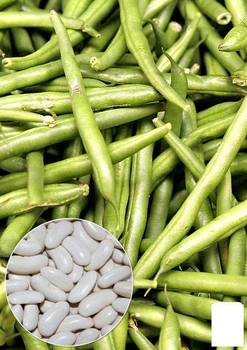 На развес Фасоль "Росилка" Agro-Market цена за 15г (32188)