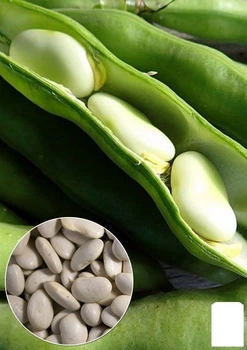 На развес Фасоль "Жемчужина средняя" Agro-Market цена за 20г (22310)