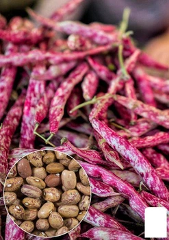 На развес Фасоль "Мраморная" Agro-Market цена за 20г (22318)