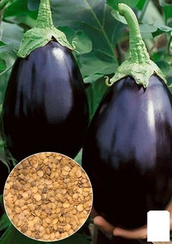 Насіння Баклажан "Донецький урожайний" ТМ "Agro-Market" ціна за 2г (35702)